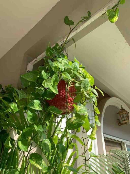 Furnished Villa Near Airport, Away From City Bhopal Luaran gambar